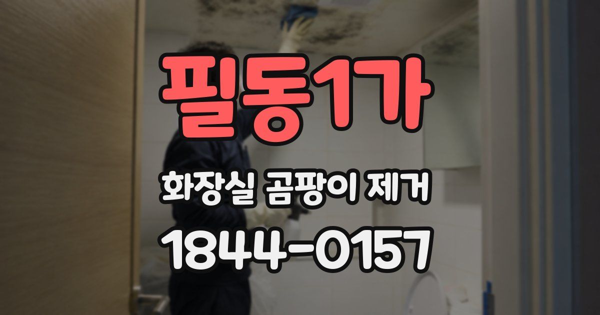 필동1가 화장실 곰팡이 제거
