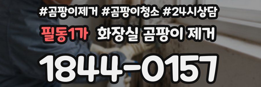 필동1가 화장실 곰팡이 제거