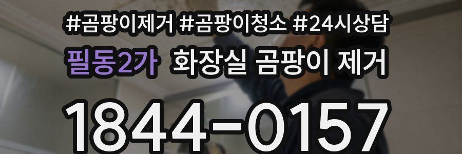 필동2가 화장실 곰팡이 제거