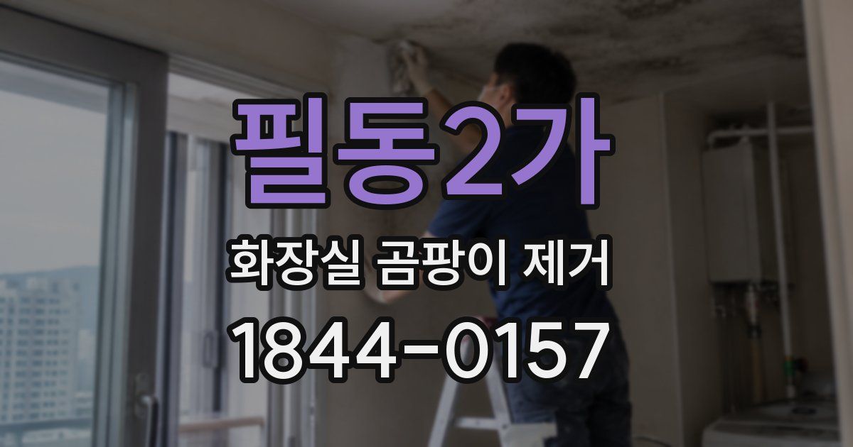 필동2가 화장실 곰팡이 제거