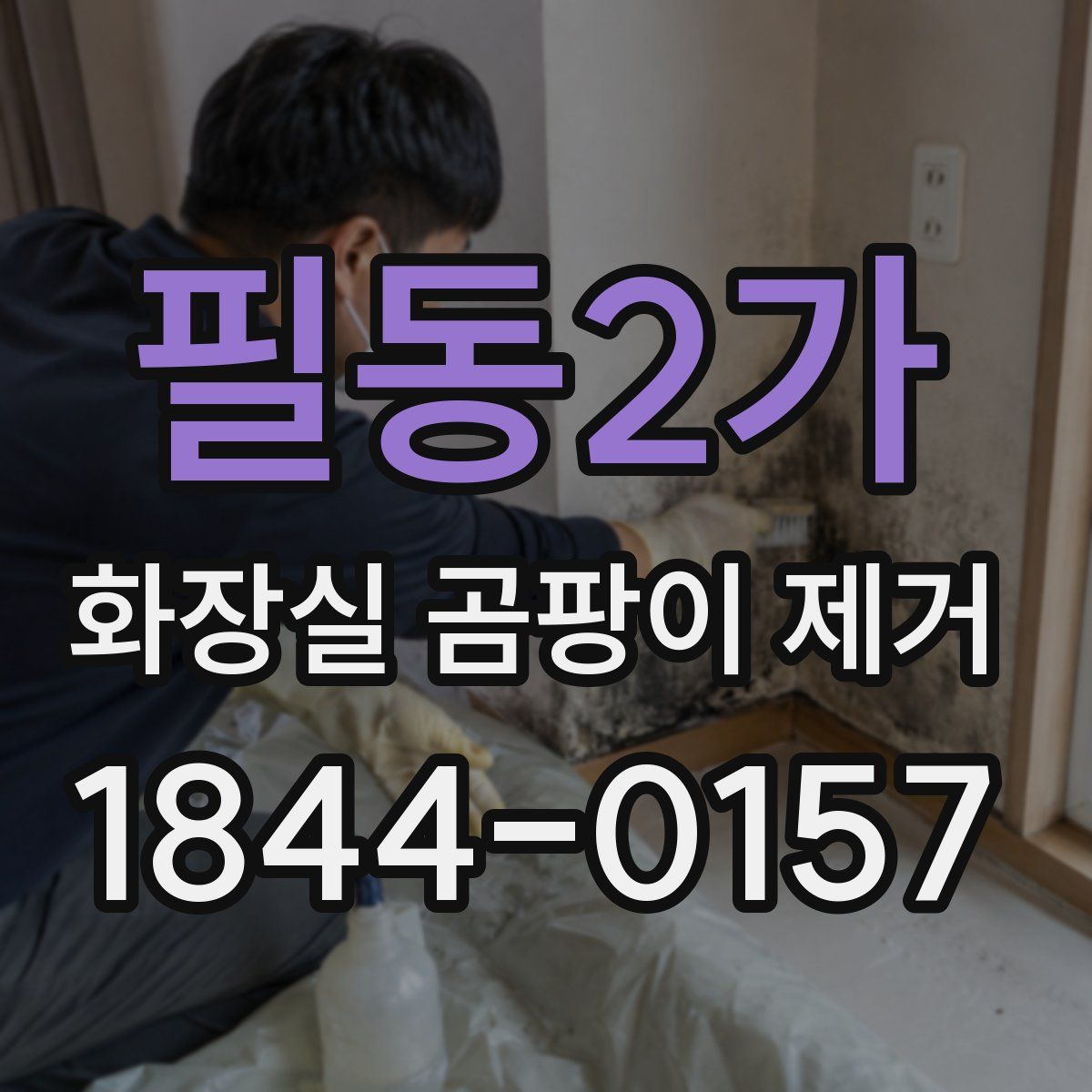 필동2가 화장실 곰팡이 제거