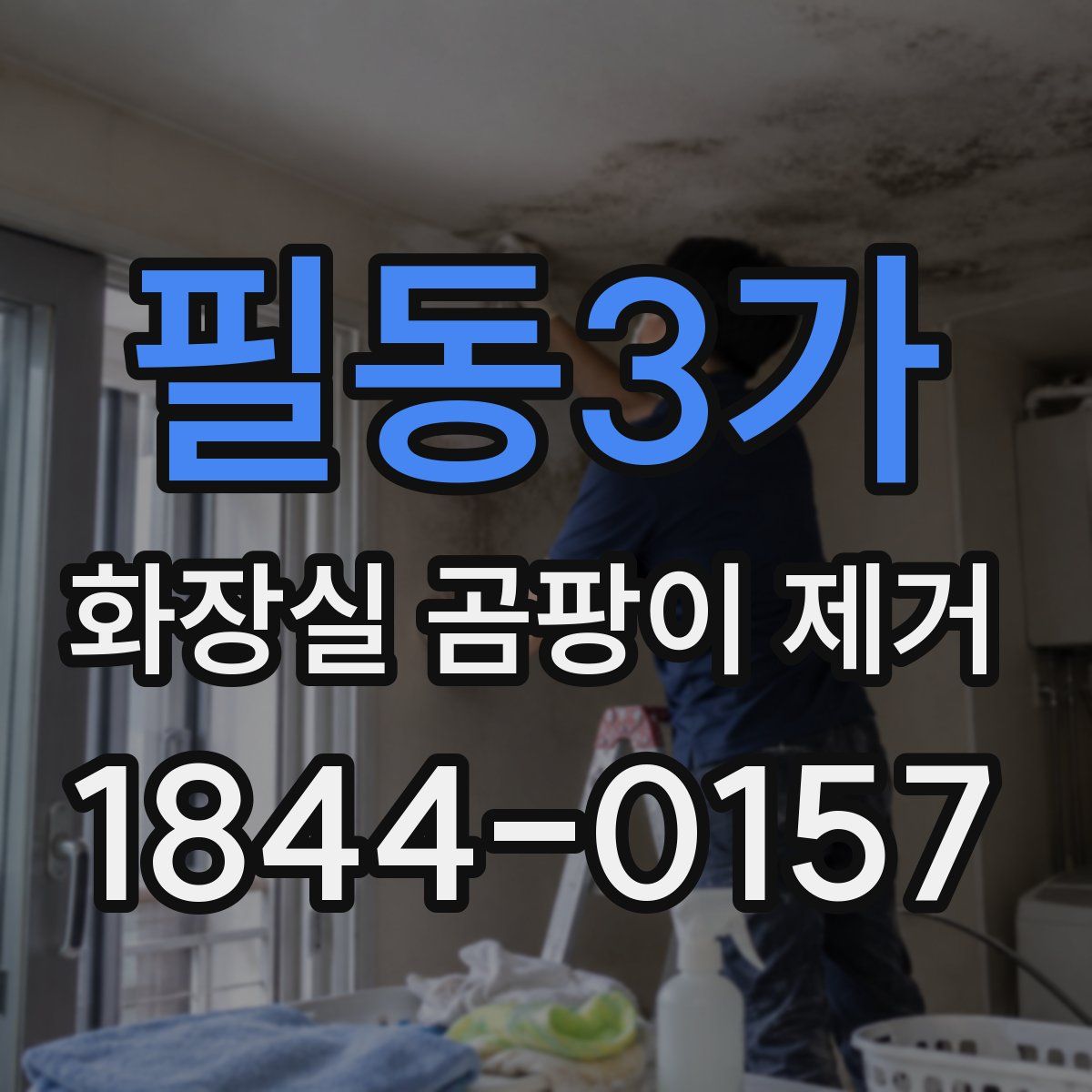 필동3가 화장실 곰팡이 제거