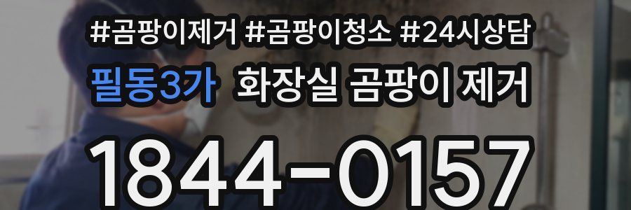 필동3가 화장실 곰팡이 제거