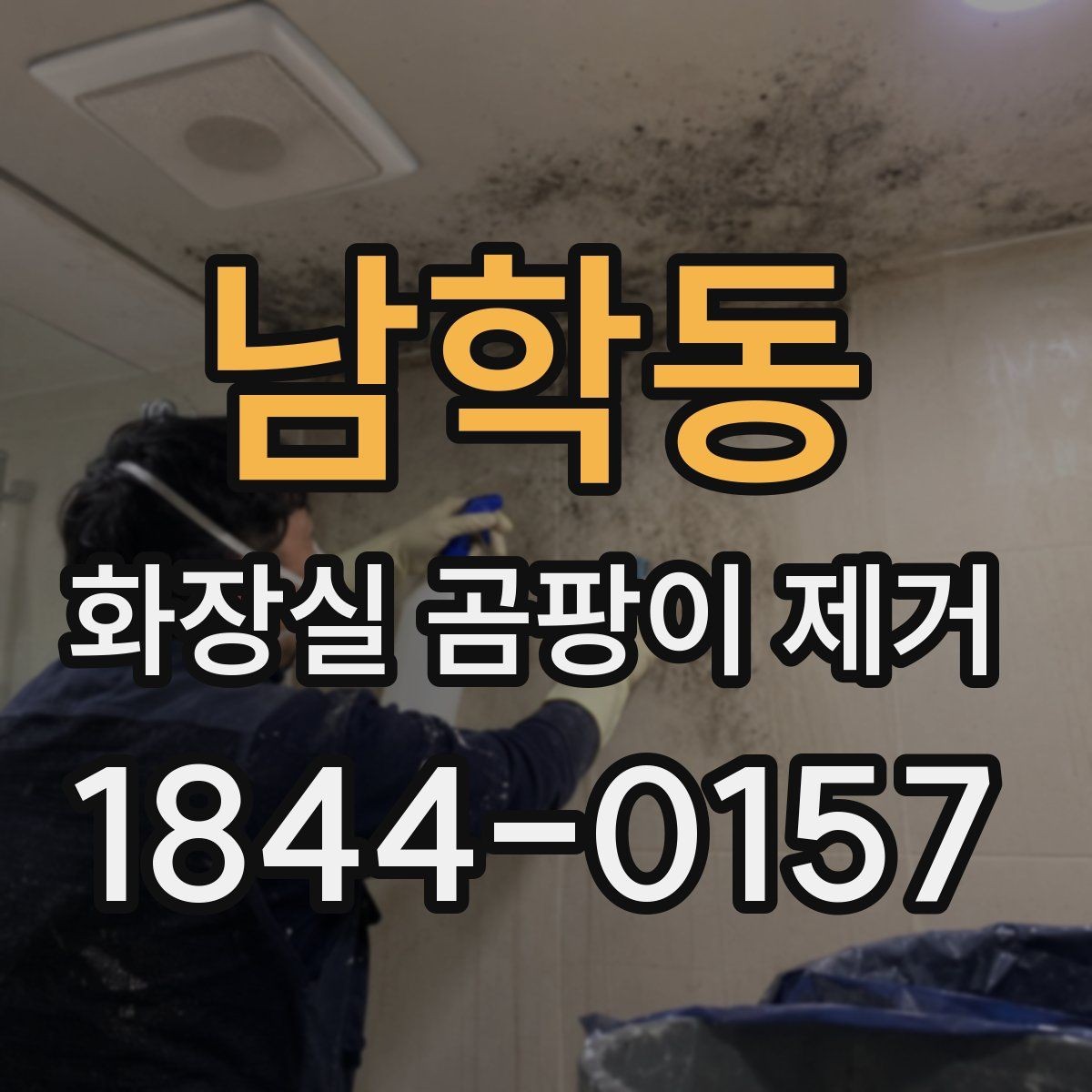 남학동 화장실 곰팡이 제거 브러시와 스펀지 사용 차이 알아보기