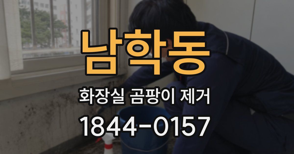 남학동 화장실 곰팡이 제거