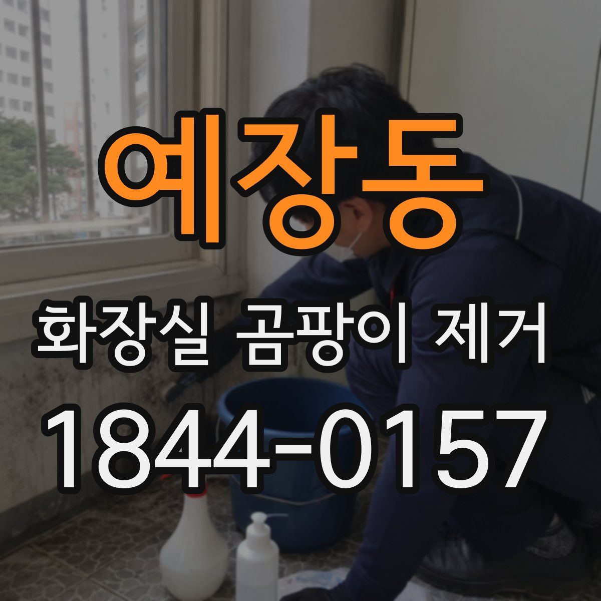 예장동 화장실 곰팡이 제거