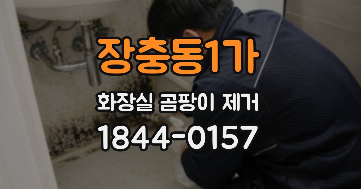 장충동1가 화장실 곰팡이 제거