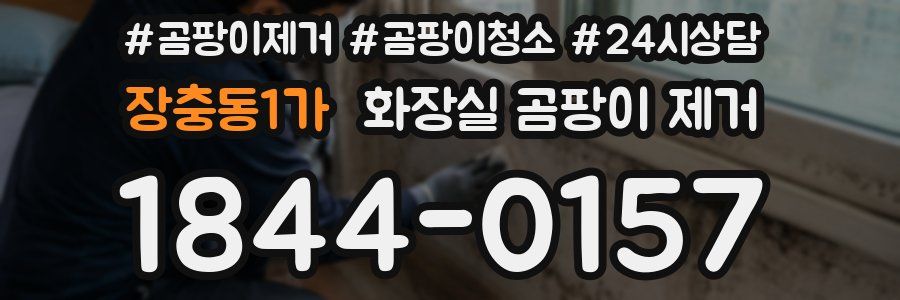 장충동1가 화장실 곰팡이 제거
