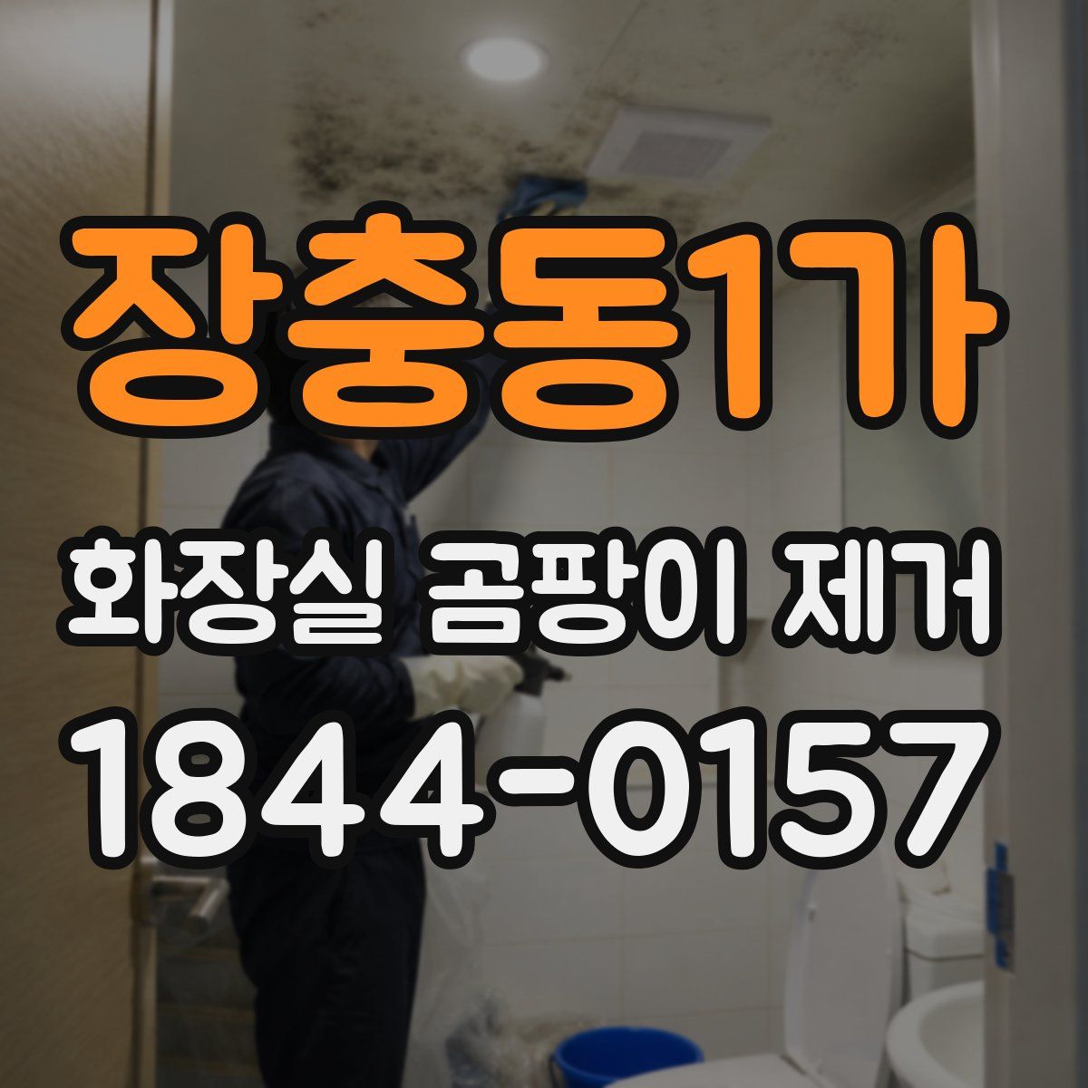 장충동1가 화장실 곰팡이 제거