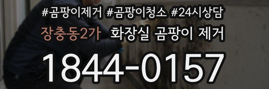 장충동2가 화장실 곰팡이 제거