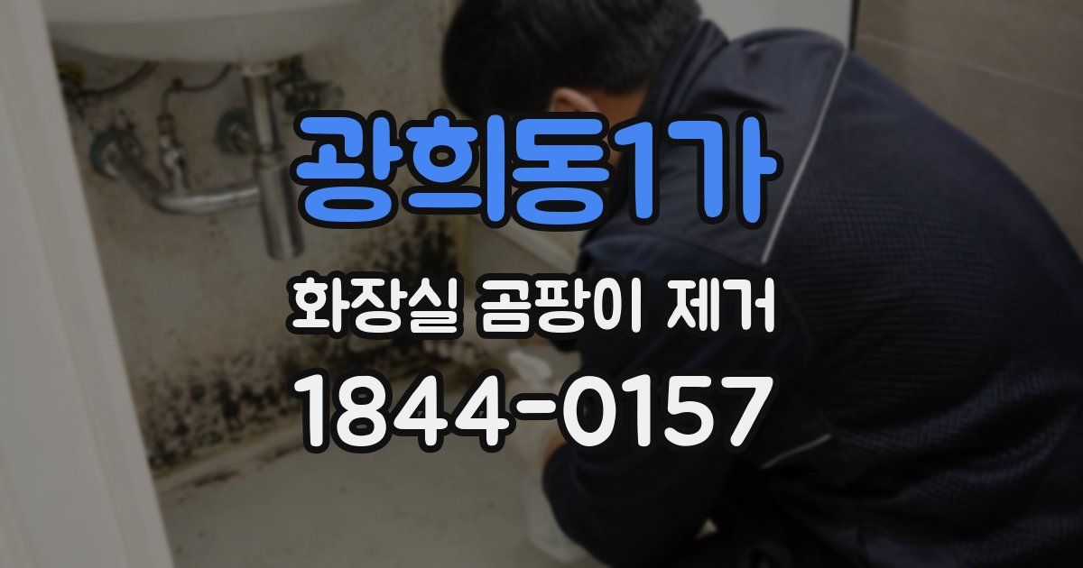 광희동1가 화장실 곰팡이 제거