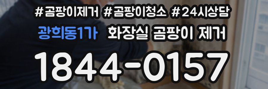 광희동1가 화장실 곰팡이 제거
