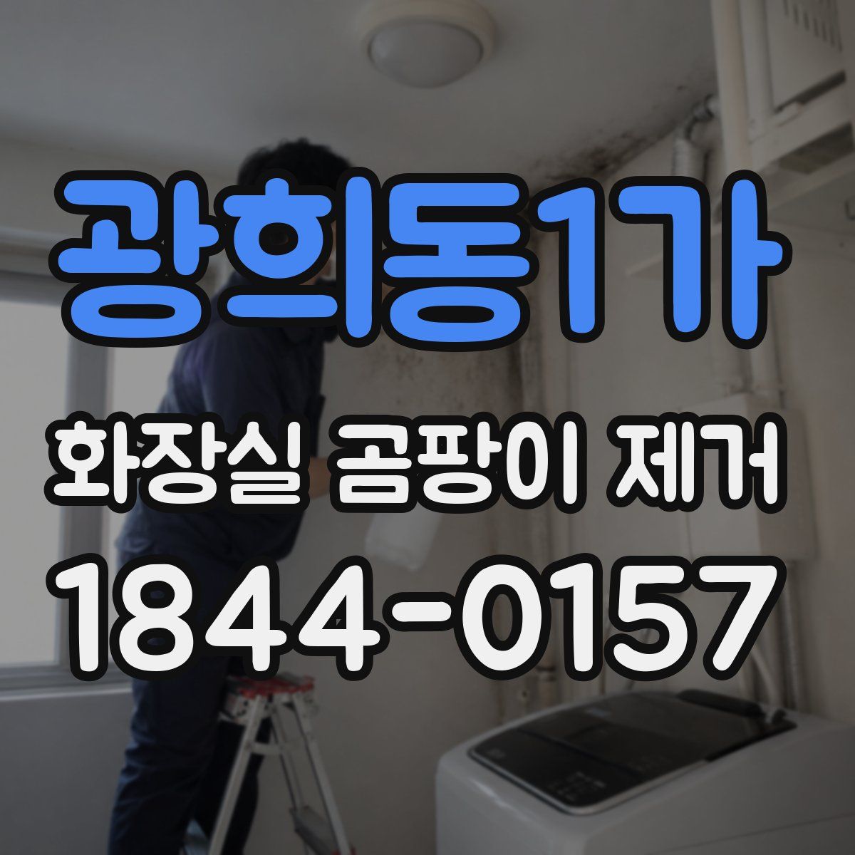 광희동1가 화장실 곰팡이 제거