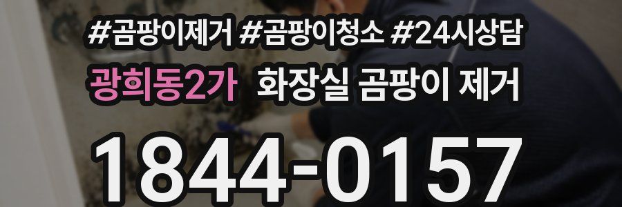 광희동2가 화장실 곰팡이 제거