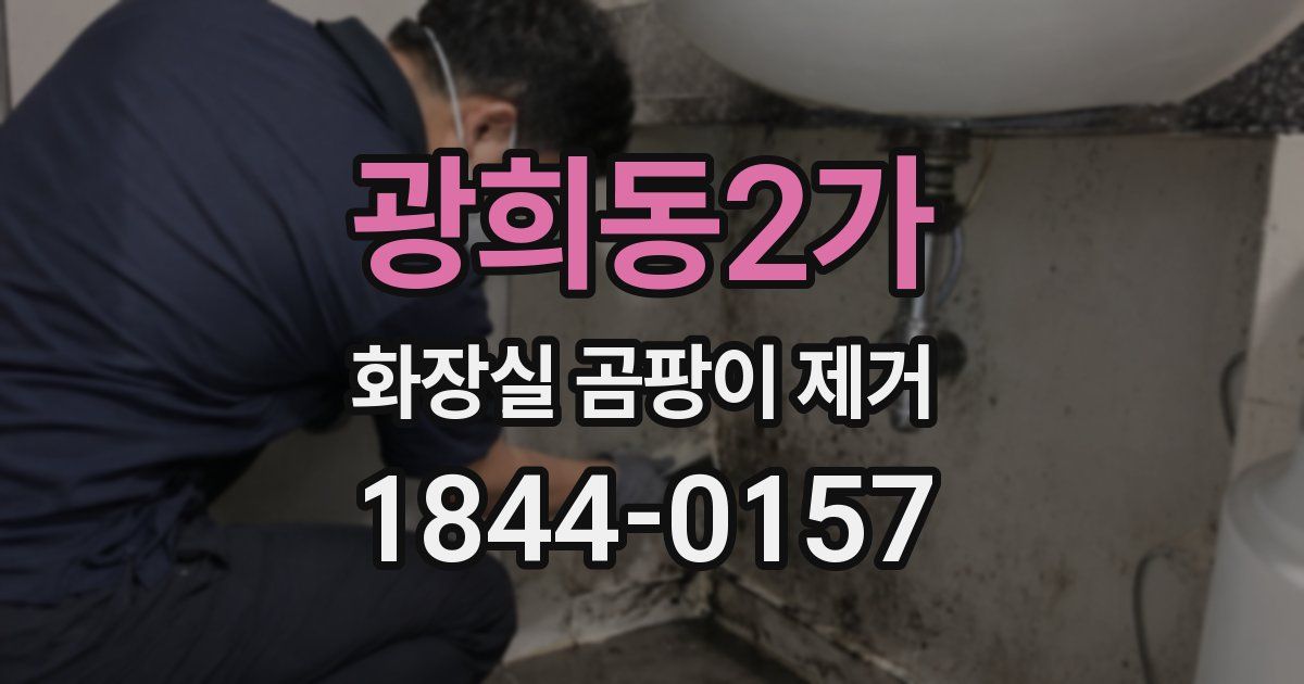 광희동2가 화장실 곰팡이 제거
