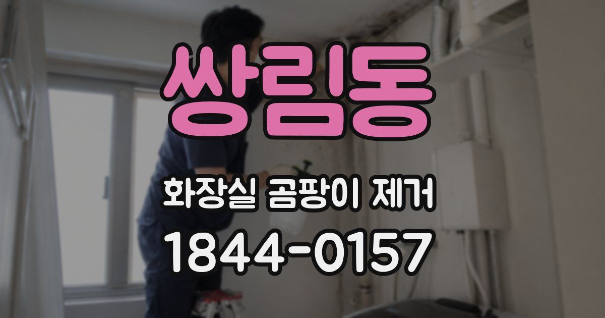쌍림동 화장실 곰팡이 제거