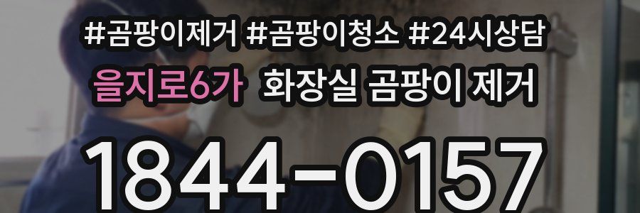 을지로6가 화장실 곰팡이 제거