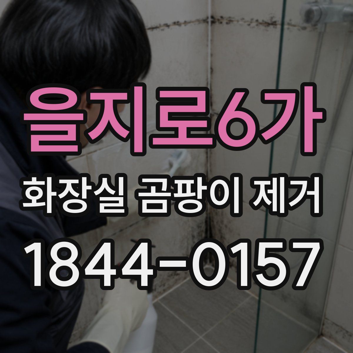 을지로6가 화장실 곰팡이 제거