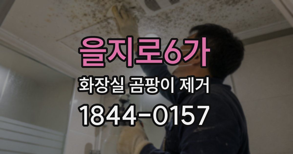 을지로6가 화장실 곰팡이 제거