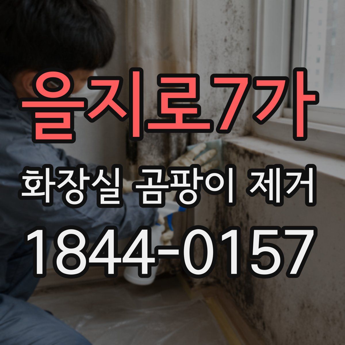을지로7가 화장실 곰팡이 제거