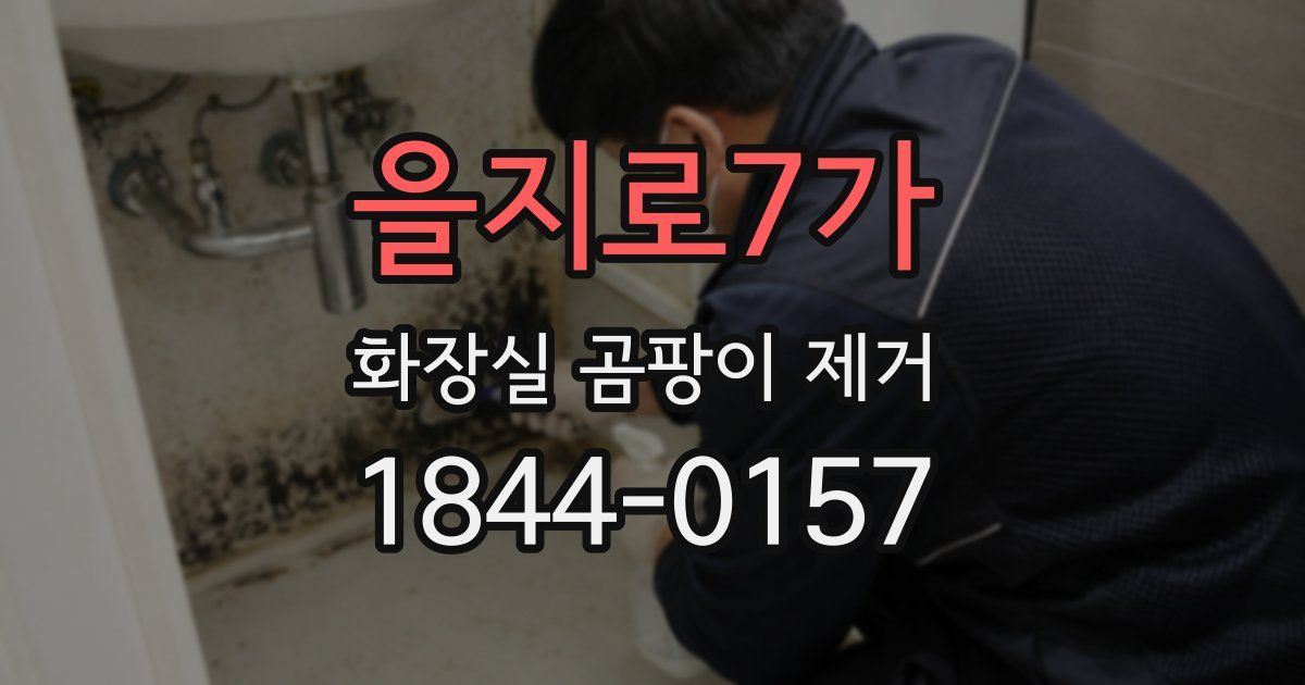 을지로7가 화장실 곰팡이 제거
