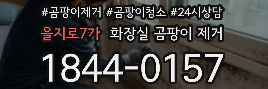 을지로7가 화장실 곰팡이 제거