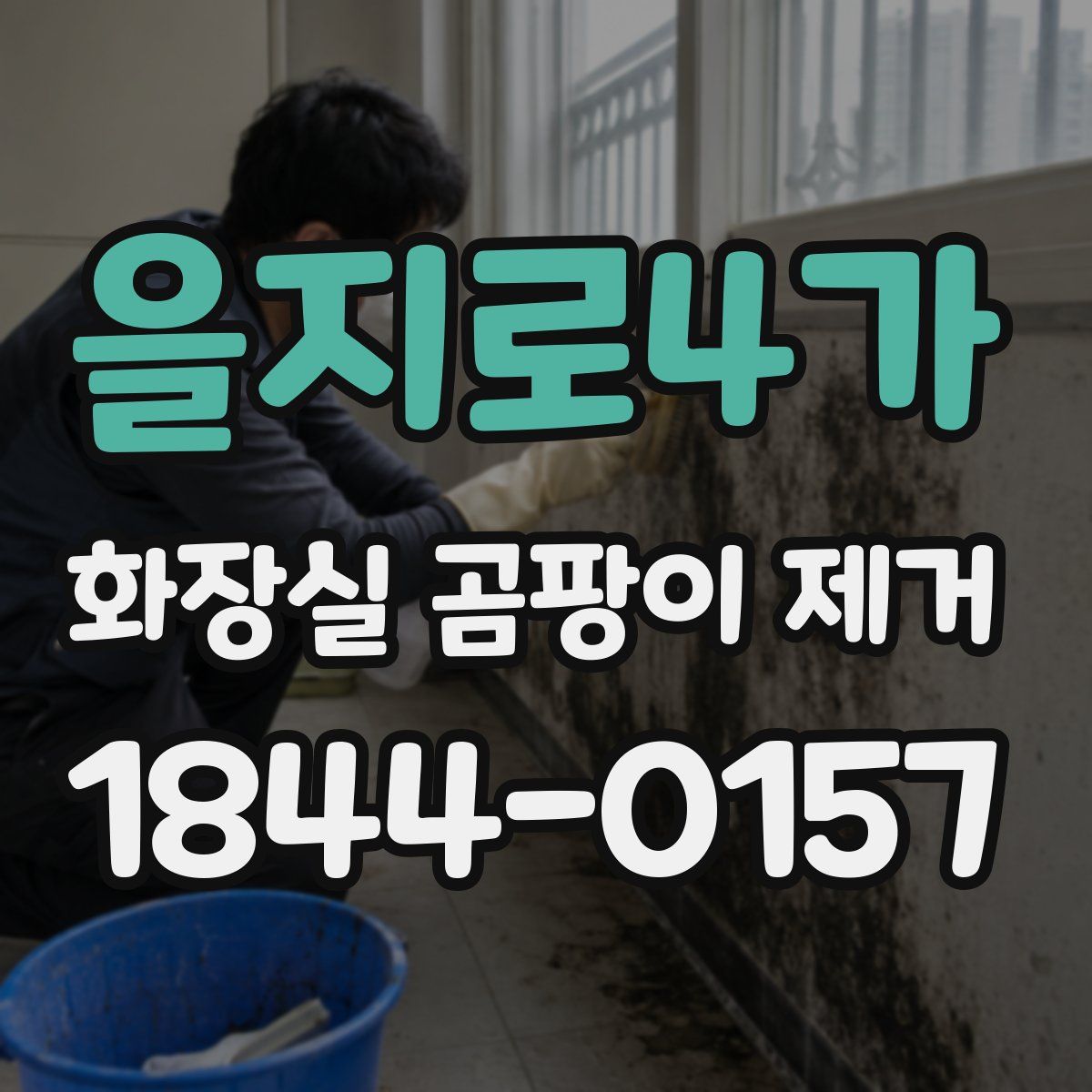 을지로4가 화장실 곰팡이 제거