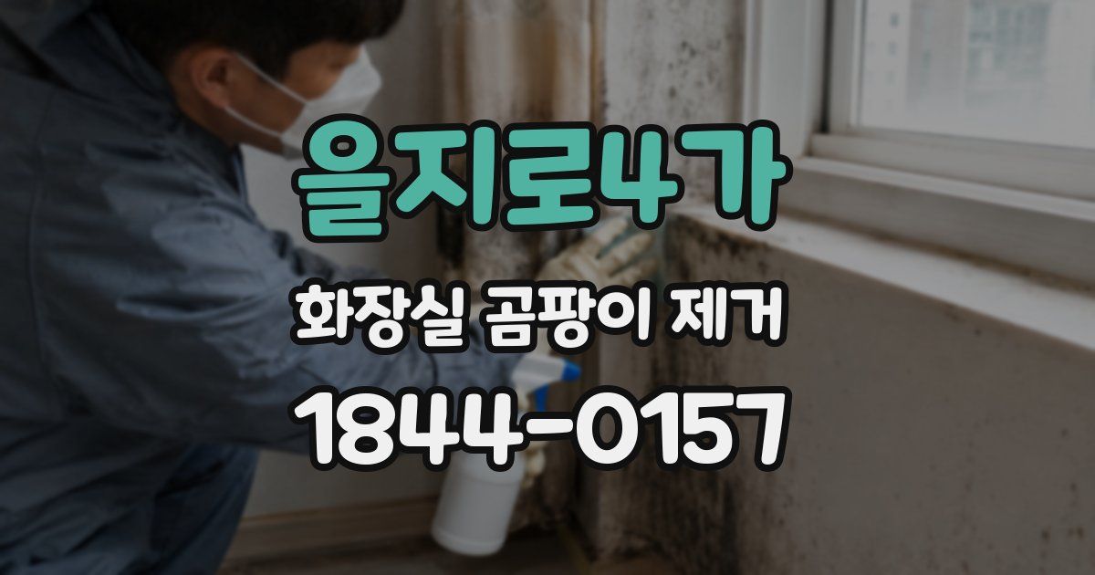 을지로4가 화장실 곰팡이 제거
