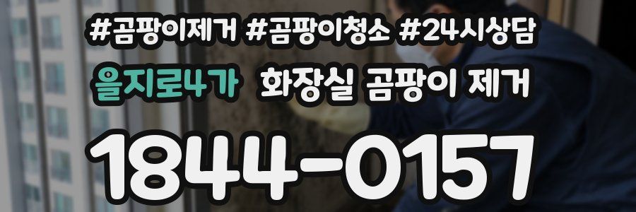 을지로4가 화장실 곰팡이 제거