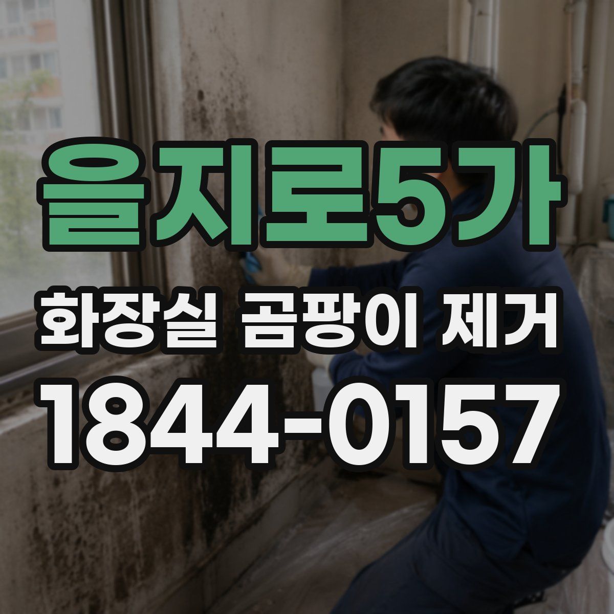 을지로5가 화장실 곰팡이 제거