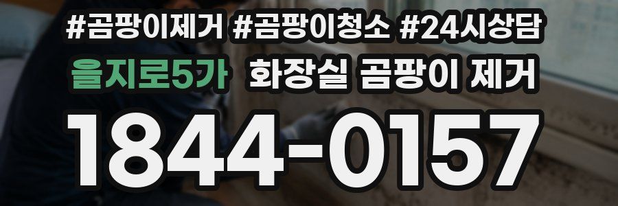 을지로5가 화장실 곰팡이 제거