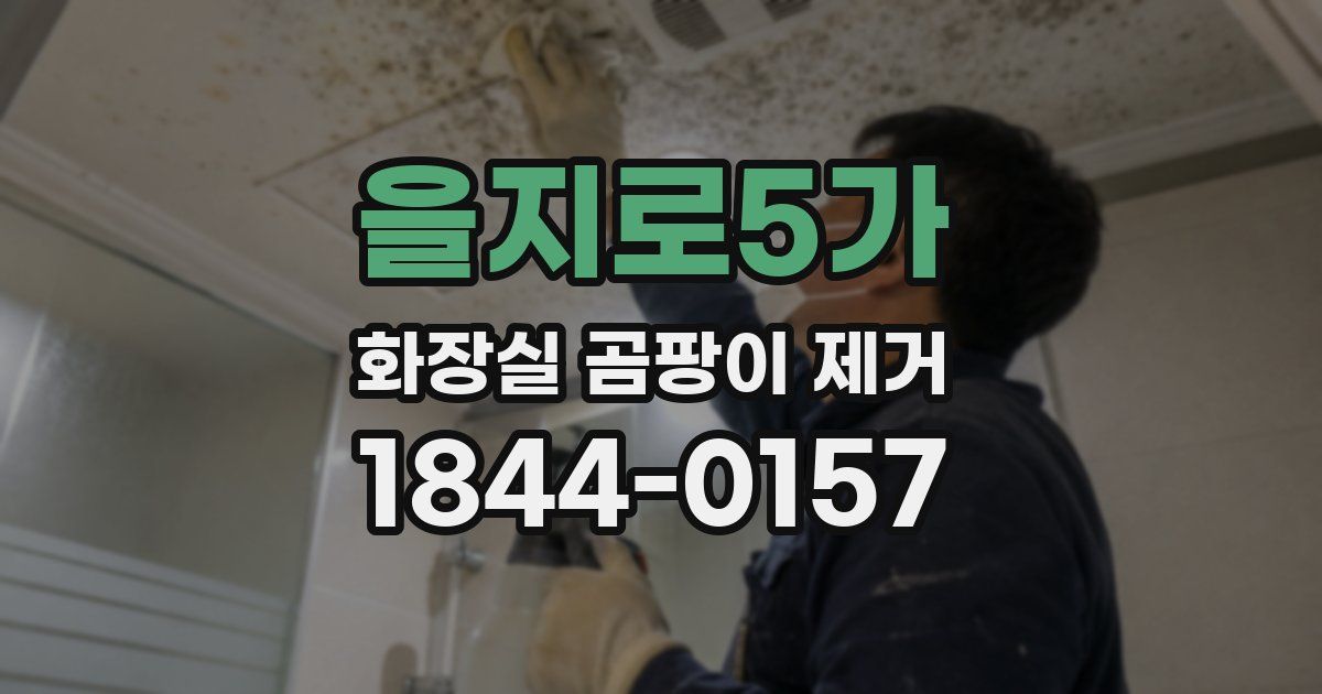 을지로5가 화장실 곰팡이 제거
