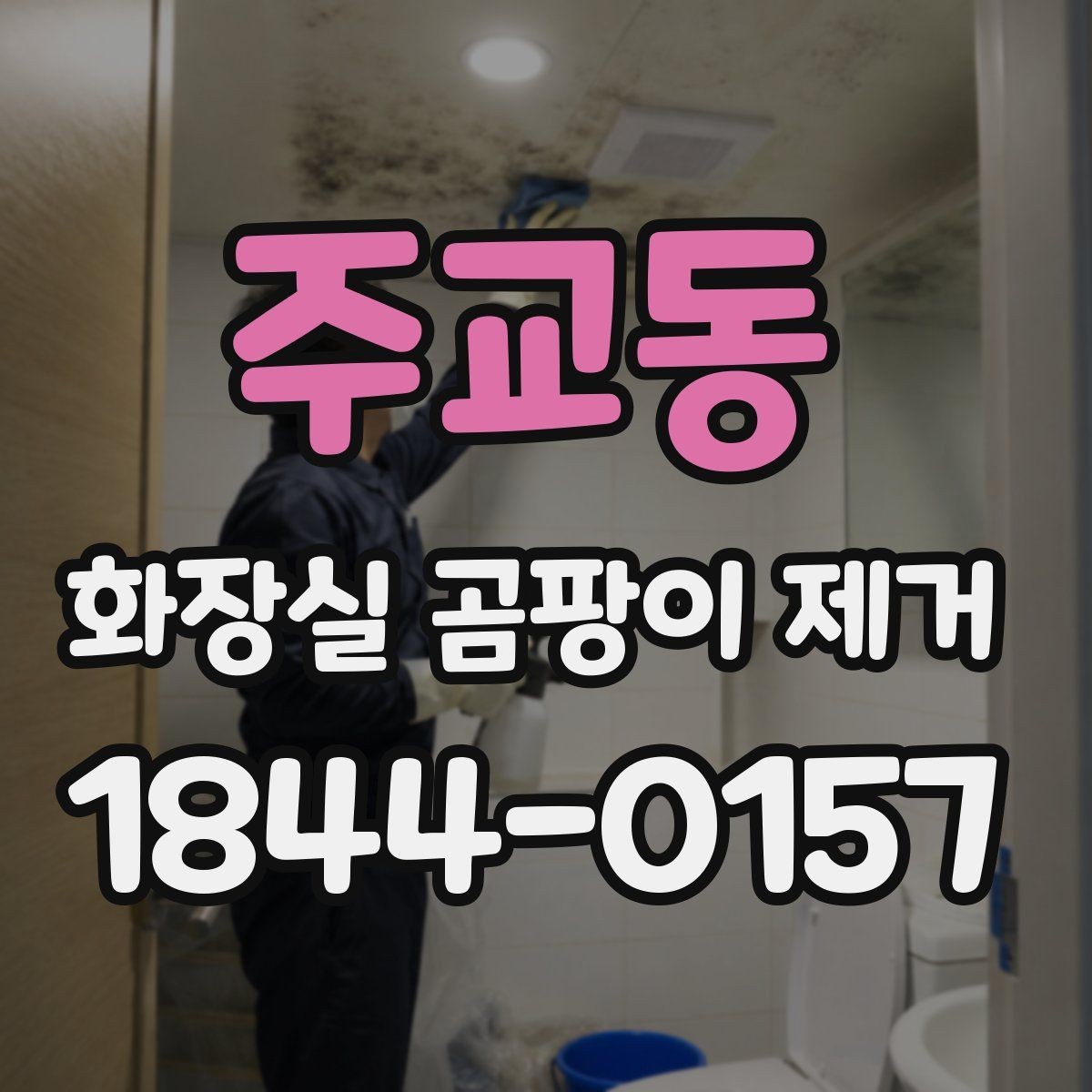 주교동 화장실 곰팡이 제거 욕실 바닥 물고임이 남기는 흔적 살피기