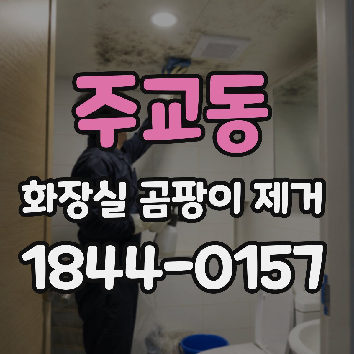 주교동 화장실 곰팡이 제거