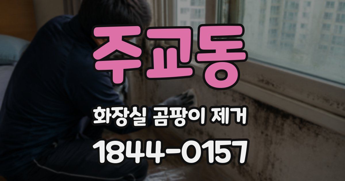 주교동 화장실 곰팡이 제거