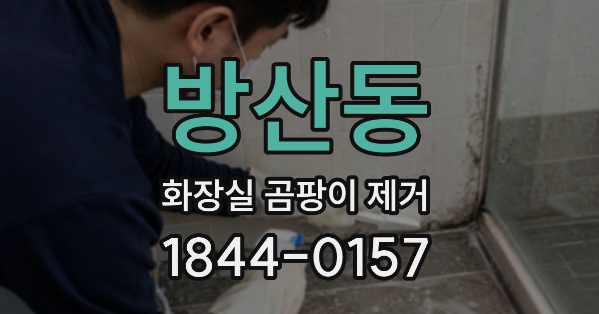 방산동 화장실 곰팡이 제거