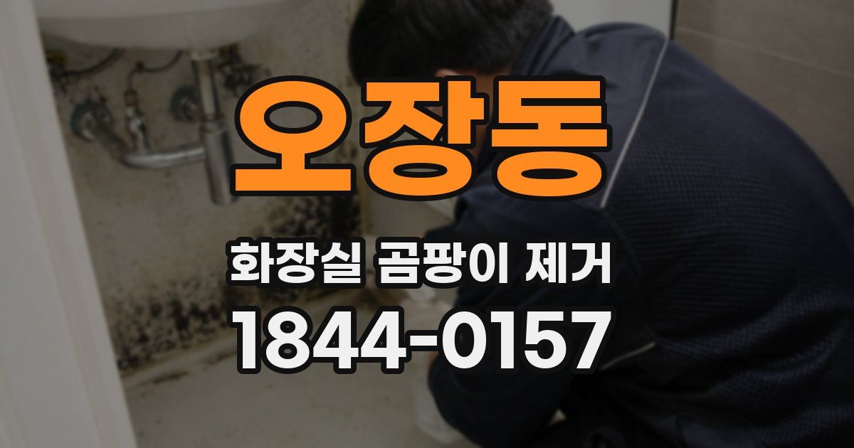 오장동 화장실 곰팡이 제거