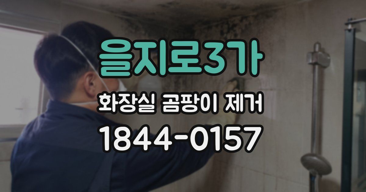 을지로3가 화장실 곰팡이 제거