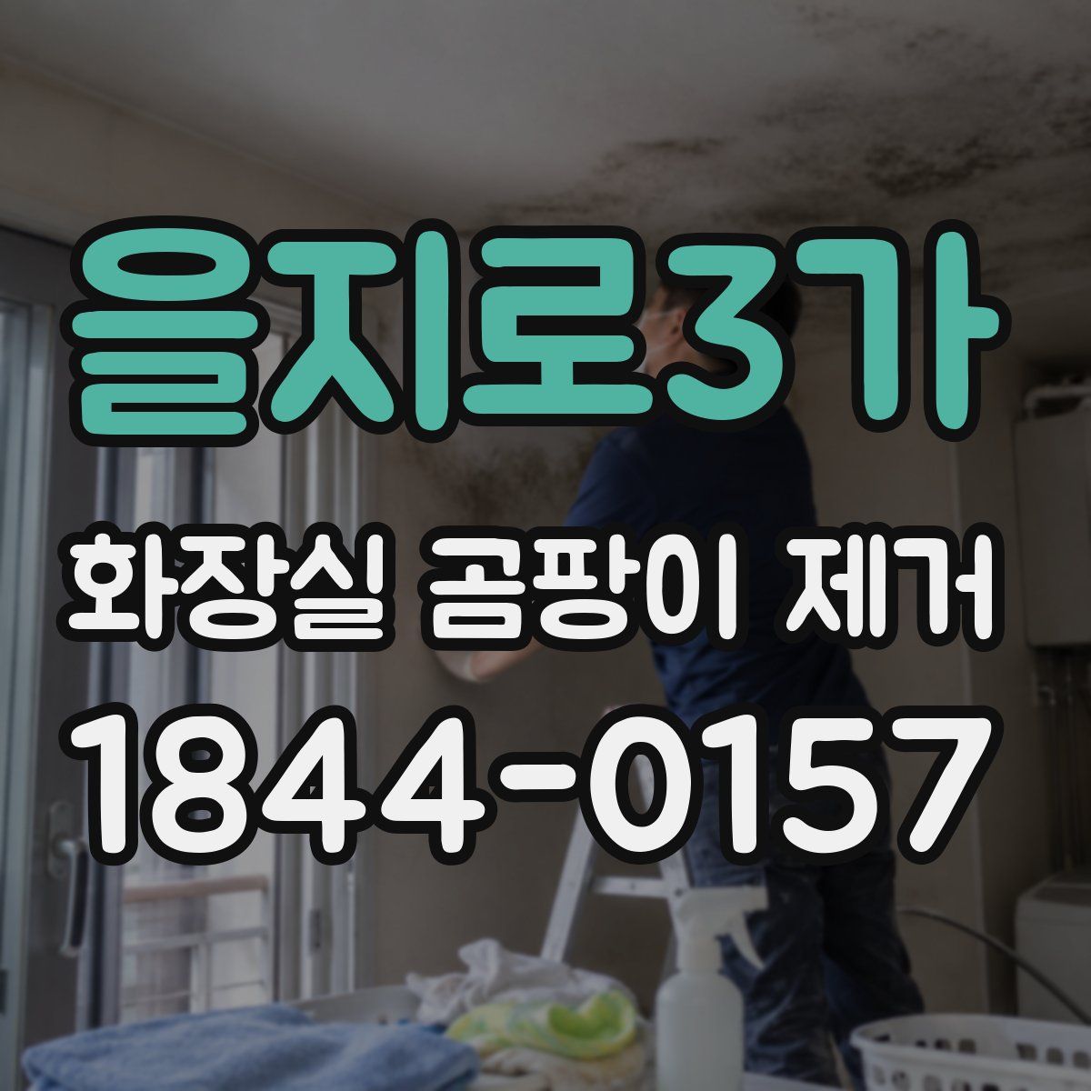 을지로3가 화장실 곰팡이 제거