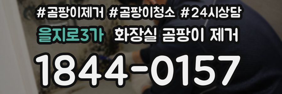 을지로3가 화장실 곰팡이 제거