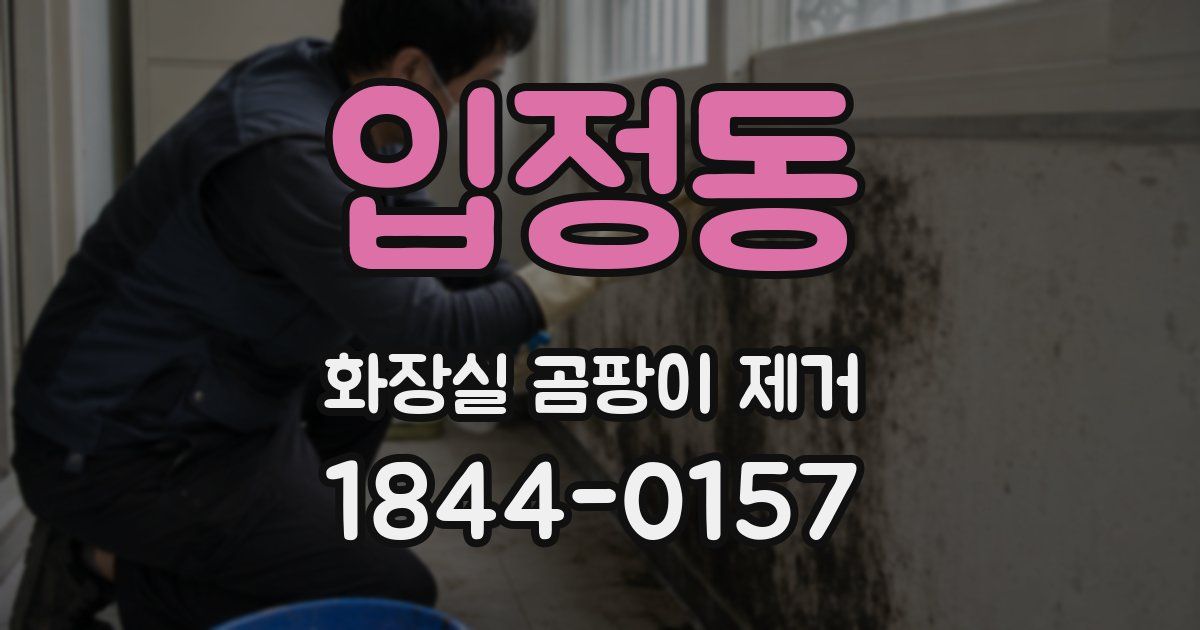 입정동 화장실 곰팡이 제거