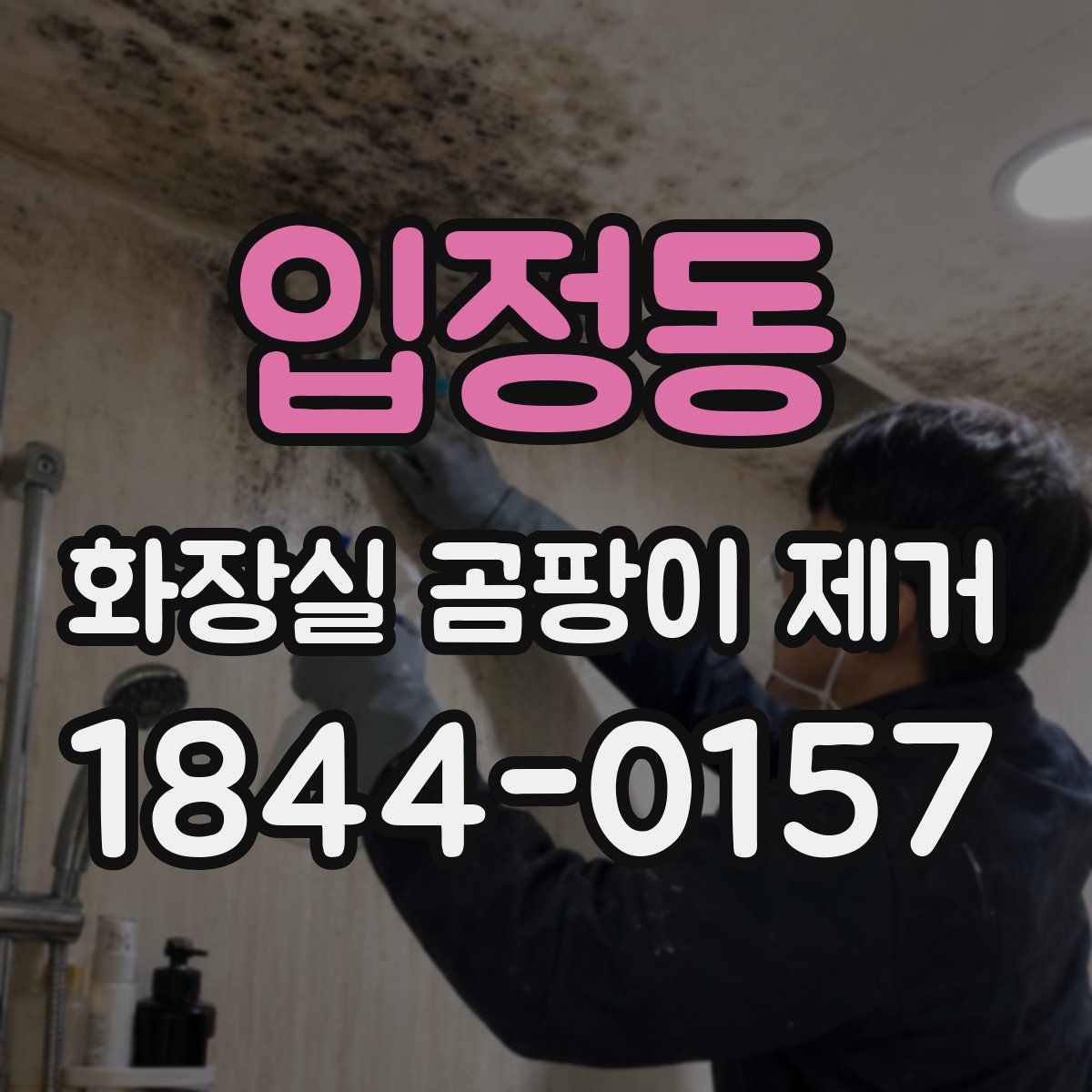 입정동 화장실 곰팡이 제거