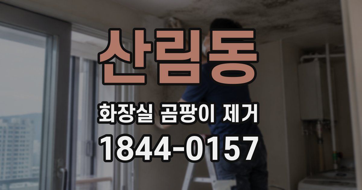 산림동 화장실 곰팡이 제거