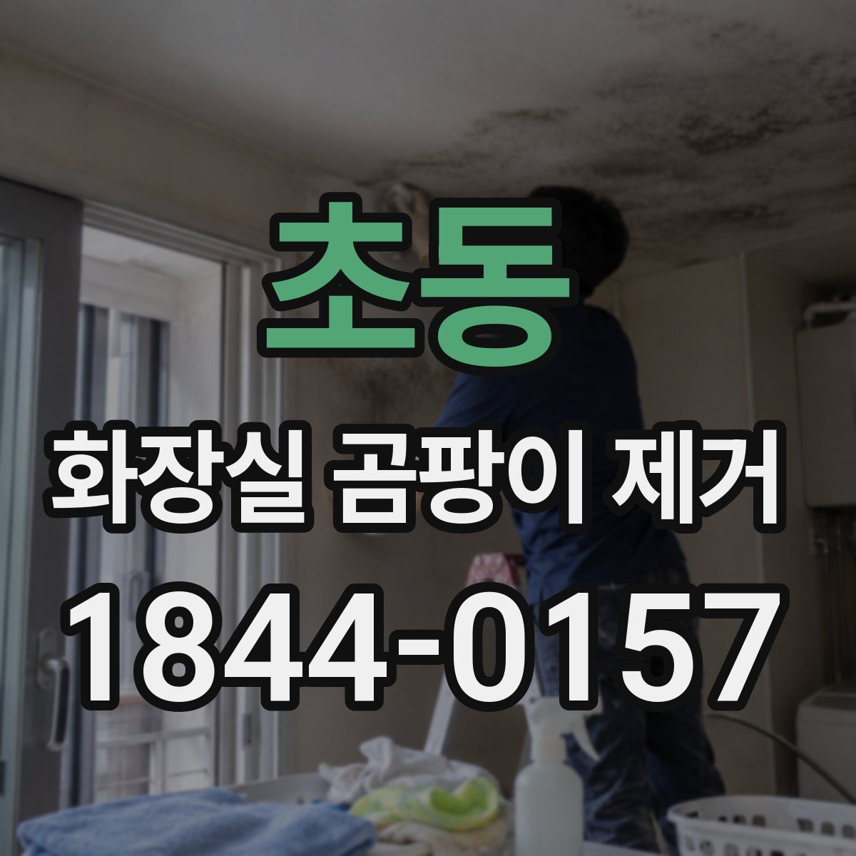 초동 화장실 곰팡이 제거