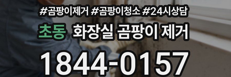 초동 화장실 곰팡이 제거