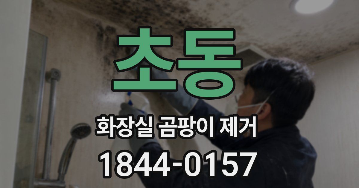 초동 화장실 곰팡이 제거