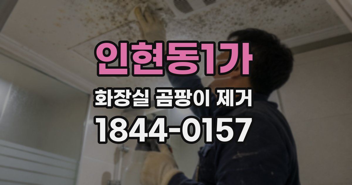 인현동1가 화장실 곰팡이 제거