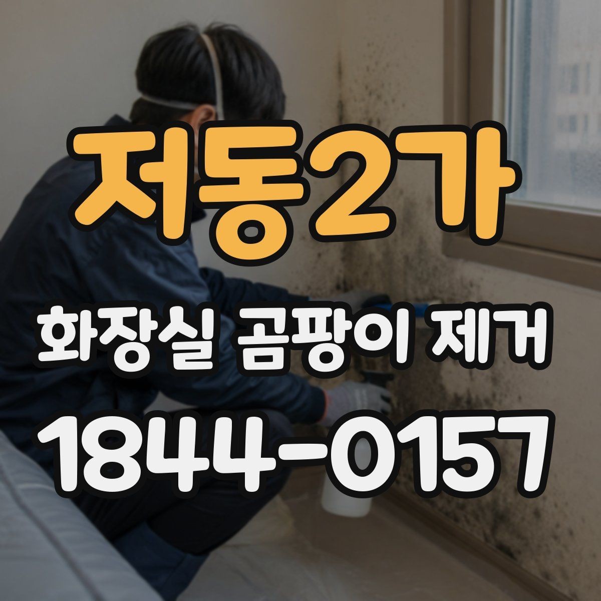 저동2가 화장실 곰팡이 제거 세정제보다 브러시가 더 중요한 경우