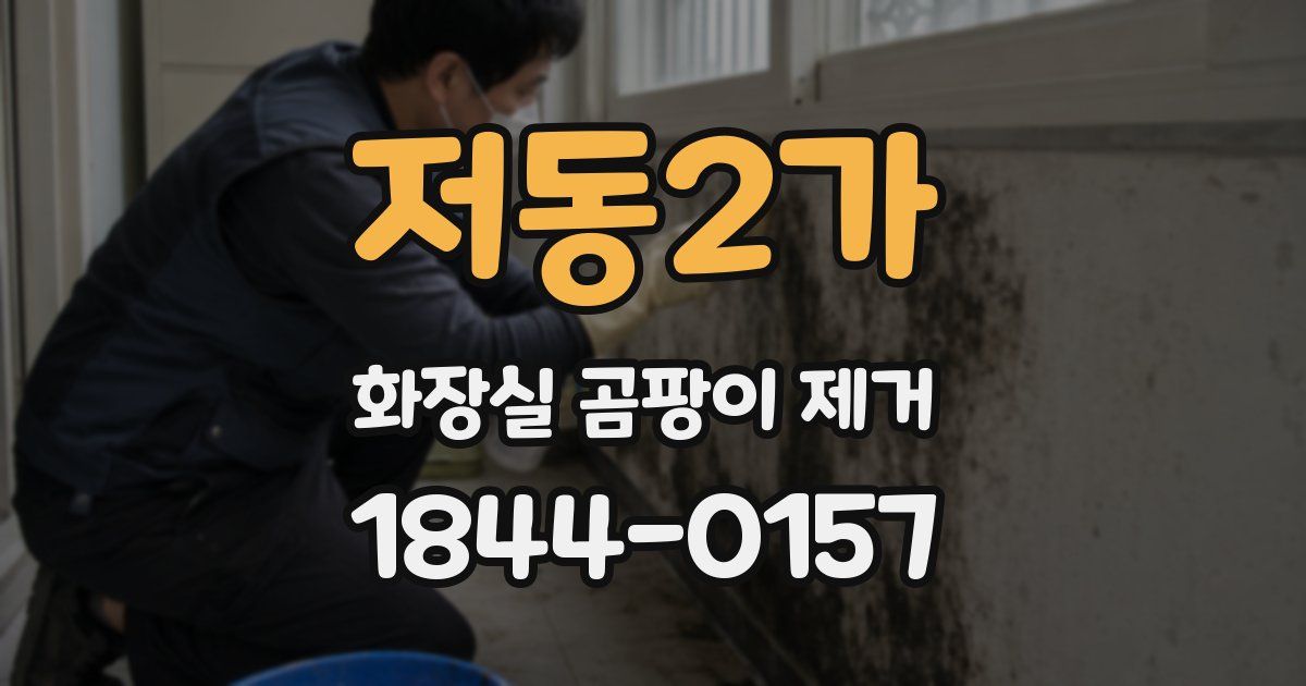 저동2가 화장실 곰팡이 제거