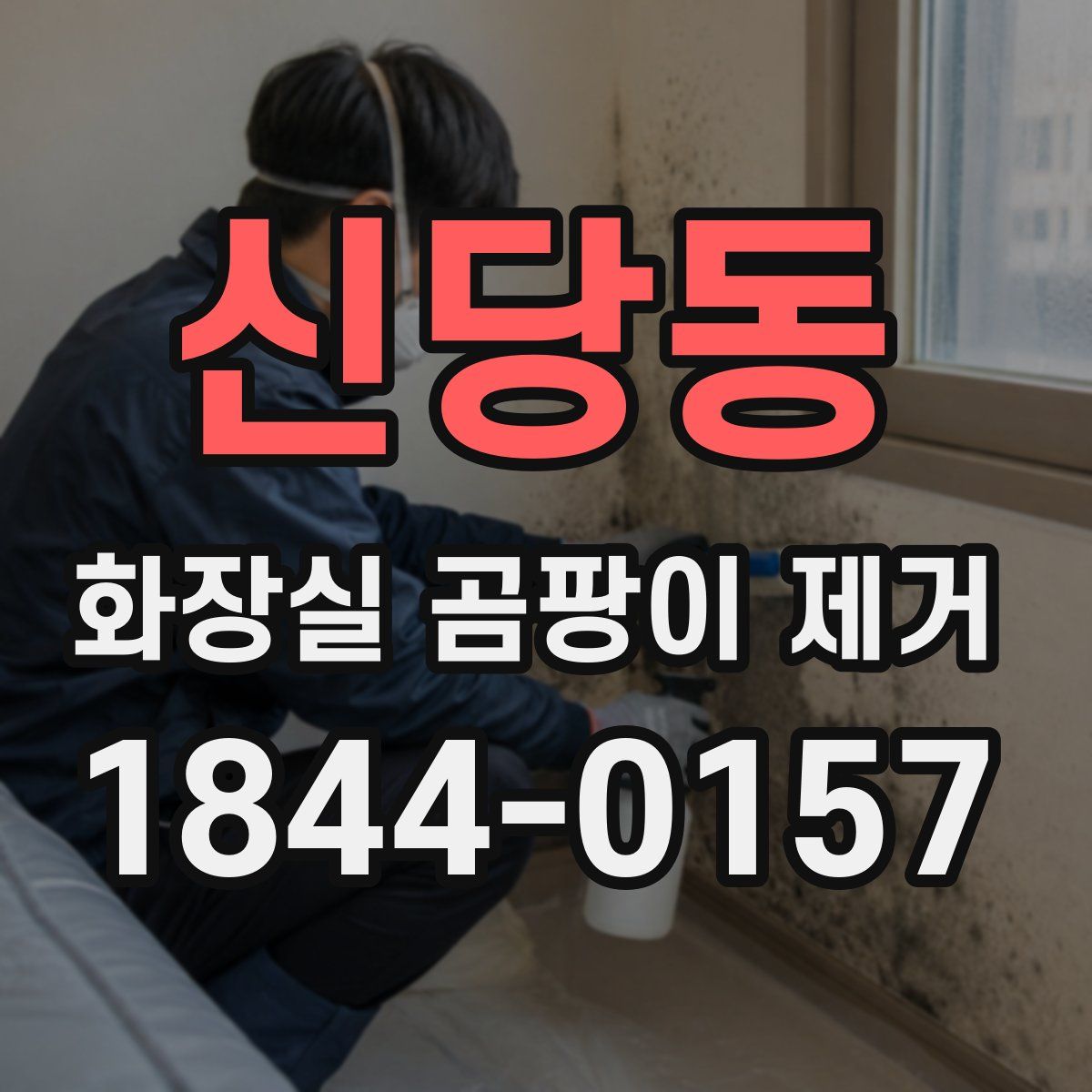 신당동 화장실 곰팡이 제거